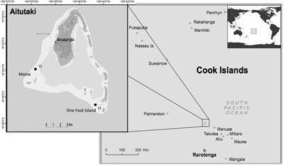 To Feed or Not to Feed? Coral Reef Fish Responses to Artificial Feeding and Stakeholder Perceptions in the Aitutaki Lagoon, Cook Islands